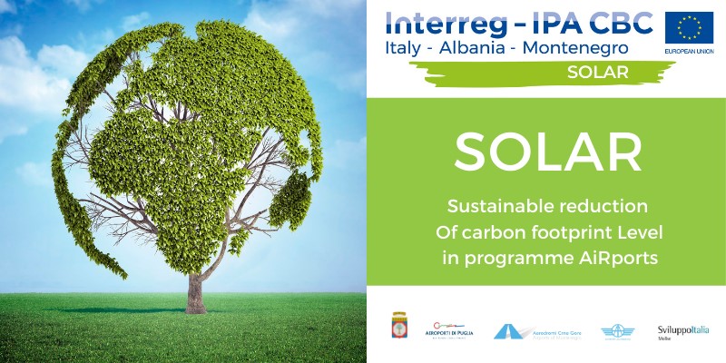 tree - sustainable reduction of carbon