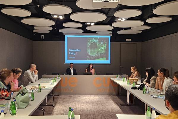 Formal airport wide schemes in Montenegro