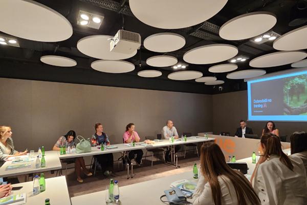 Formal airport wide schemes in Montenegro